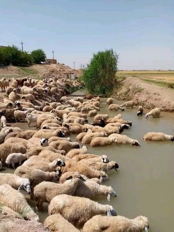 اللهم بارك لنا في الرزق