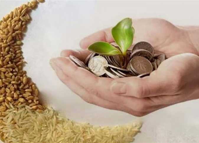 زكاة الفطرة هذا العام ٢٠٢٣ ميلادي - ١٤٤٤ هجري